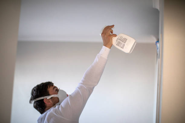 Best Insurance-Related Mold Remediation in Herald Harbor, MD