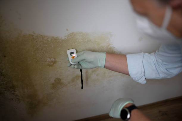 Best HVAC Mold Remediation in Herald Harbor, MD