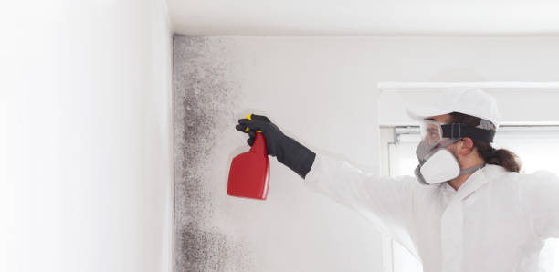 Best Bathroom Mold Remediation in Herald Harbor, MD